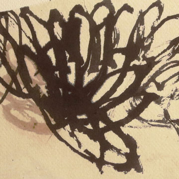 Catherine Guiraud, dessin.